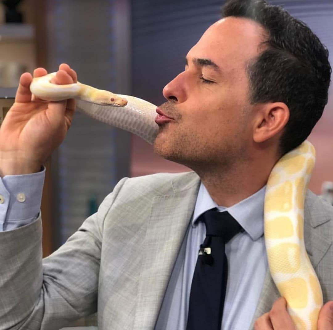 Las bromas de Carlos Calderón en Despierta América son inevitables. Aquí vemos como sin miedo alguno casi le da un beso a la serpiente que utilizaron durante un segmento del programa.
<br>