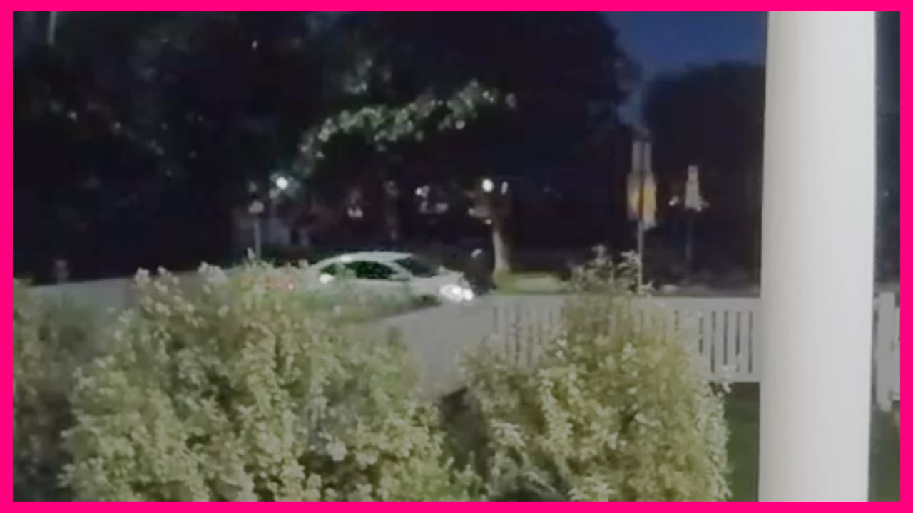 El también amigo de Gaga, de 39 años, estuvo en cuidados intensivos y sufrió graves daños en los pulmones por los cuatro disparos que recibió al tratar de salvar a Gustav y Koji, los bulldog francés que fueron secuestrados.