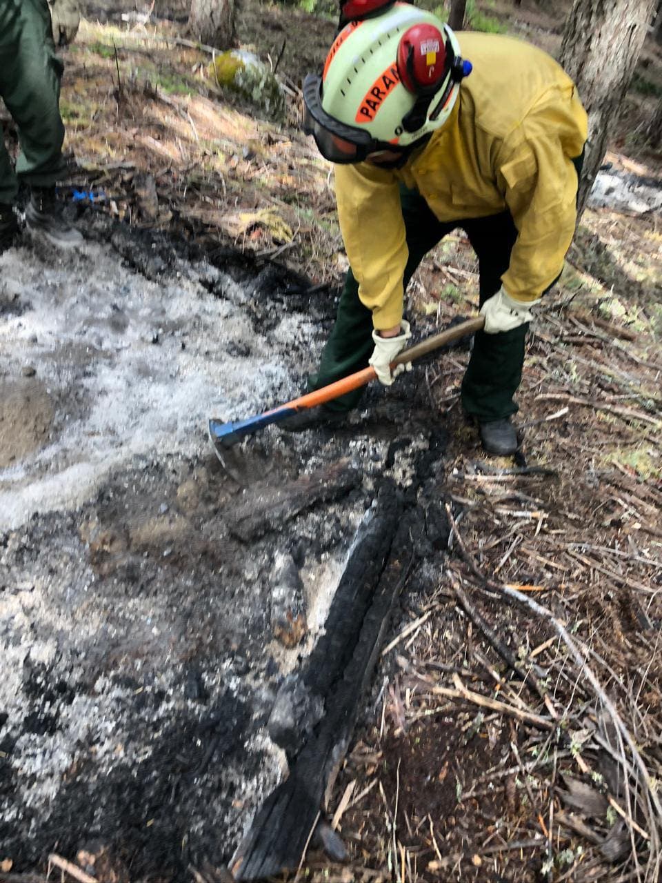 El mandatario municipal hizo hincapié en la importancia de ayudar y solidarizar con quienes están sufriendo, principalmente porque 
<b>en el estado de Oregon viven unos 15 mil habitantes oriundos de Guanajato, según el consulado mexicano.</b>