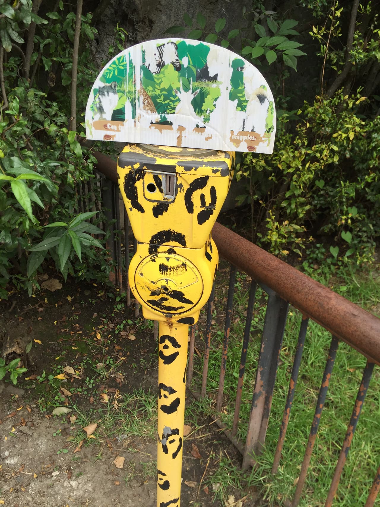 " Si las limosneras recaban dinero, ¿quién lo suma y cómo se documenta su uso?", pregunta la experta.