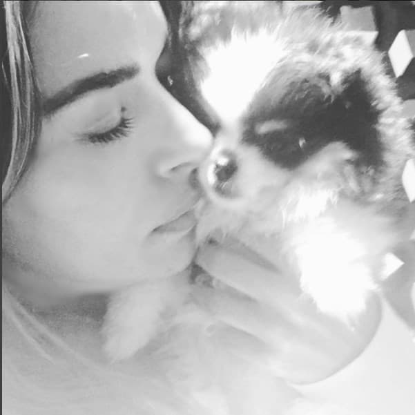 Este pequeñín de la raza Pomerania y cara de zorro le ha robado el corazón a Galilea Montijo.