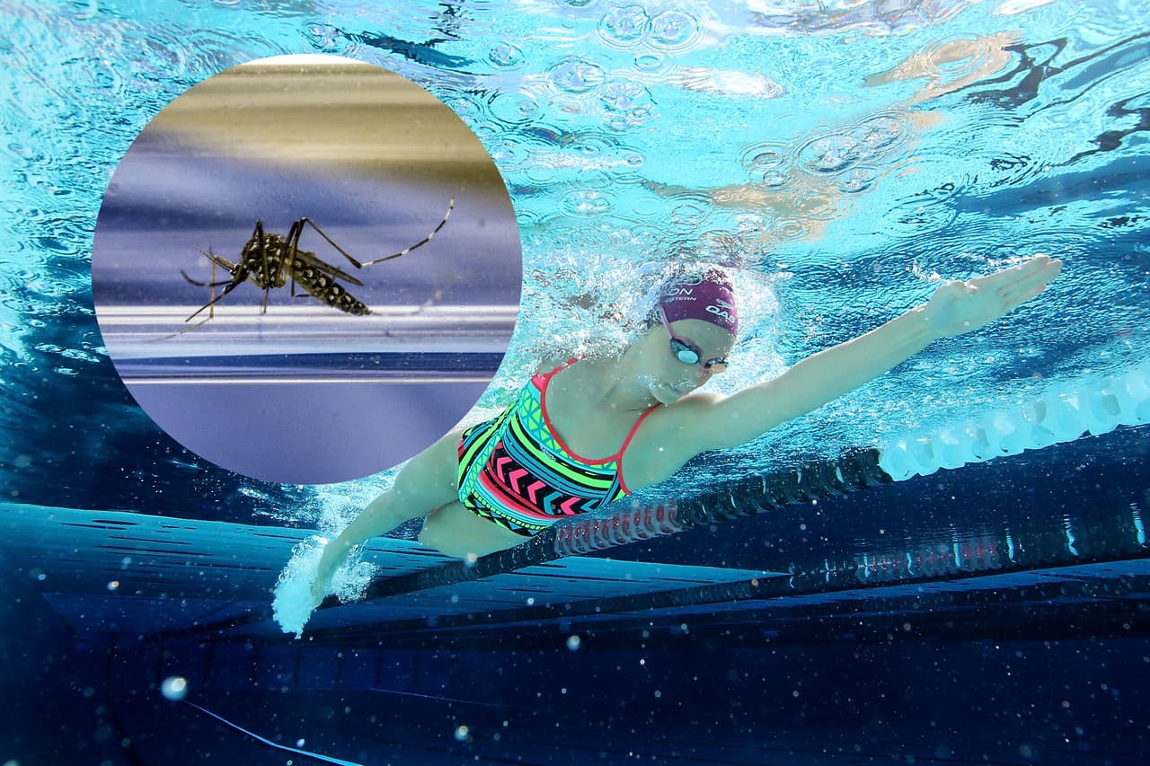 Más de un centenar de científicos pide la postergación de los Juegos Olímpicos debido al zika