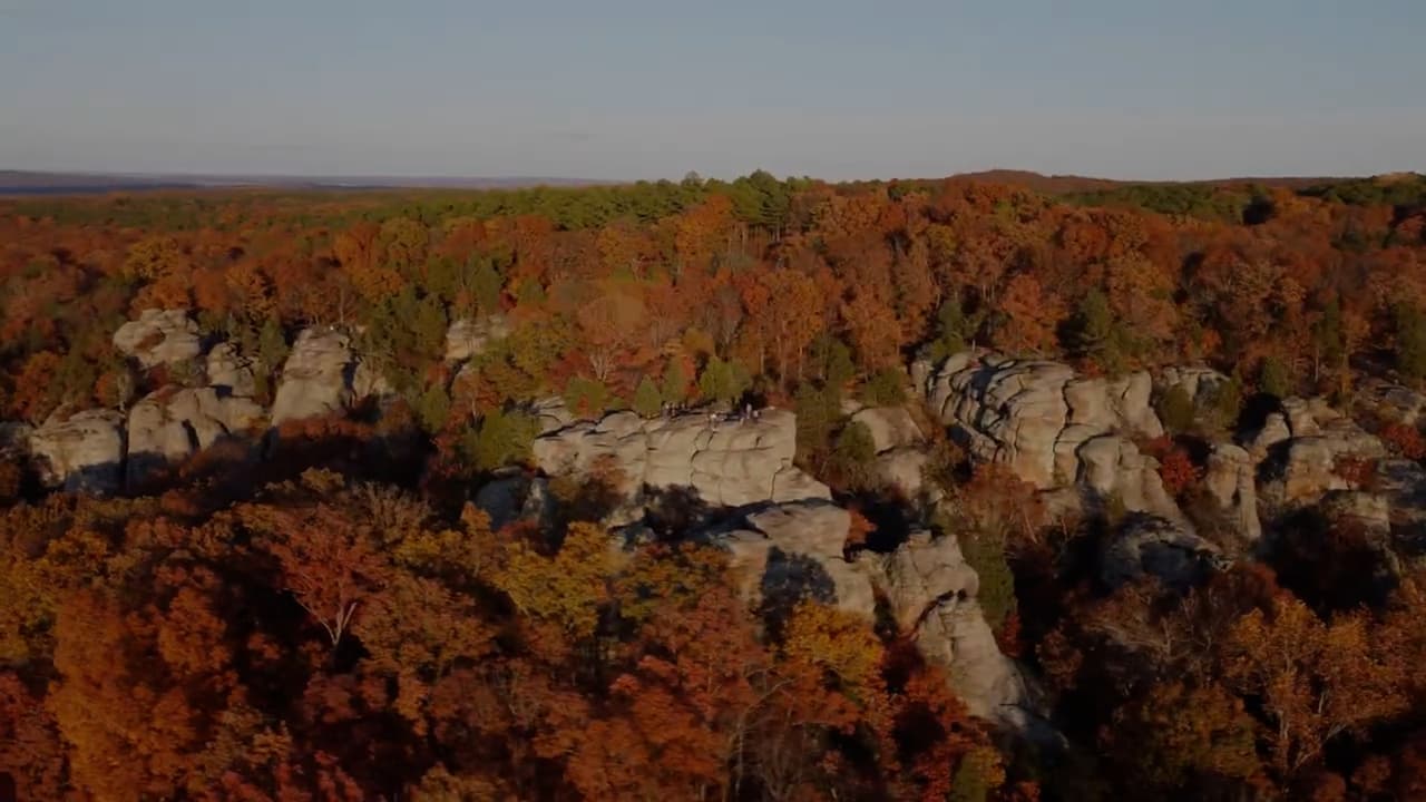 Con la llegada de la tercera estación del año, la Oficina de Turismo de Illinois presentó los colores del otoño 2022 como una guía para ayudar a los residentes y turistas a saber cuál es el mejor momento para detectar el follaje otoñal en todas las regiones y sitios del estado. 
<a href="http://uni.vi/WEvn10492vW" target="_blank">Aquí más detalles</a>.