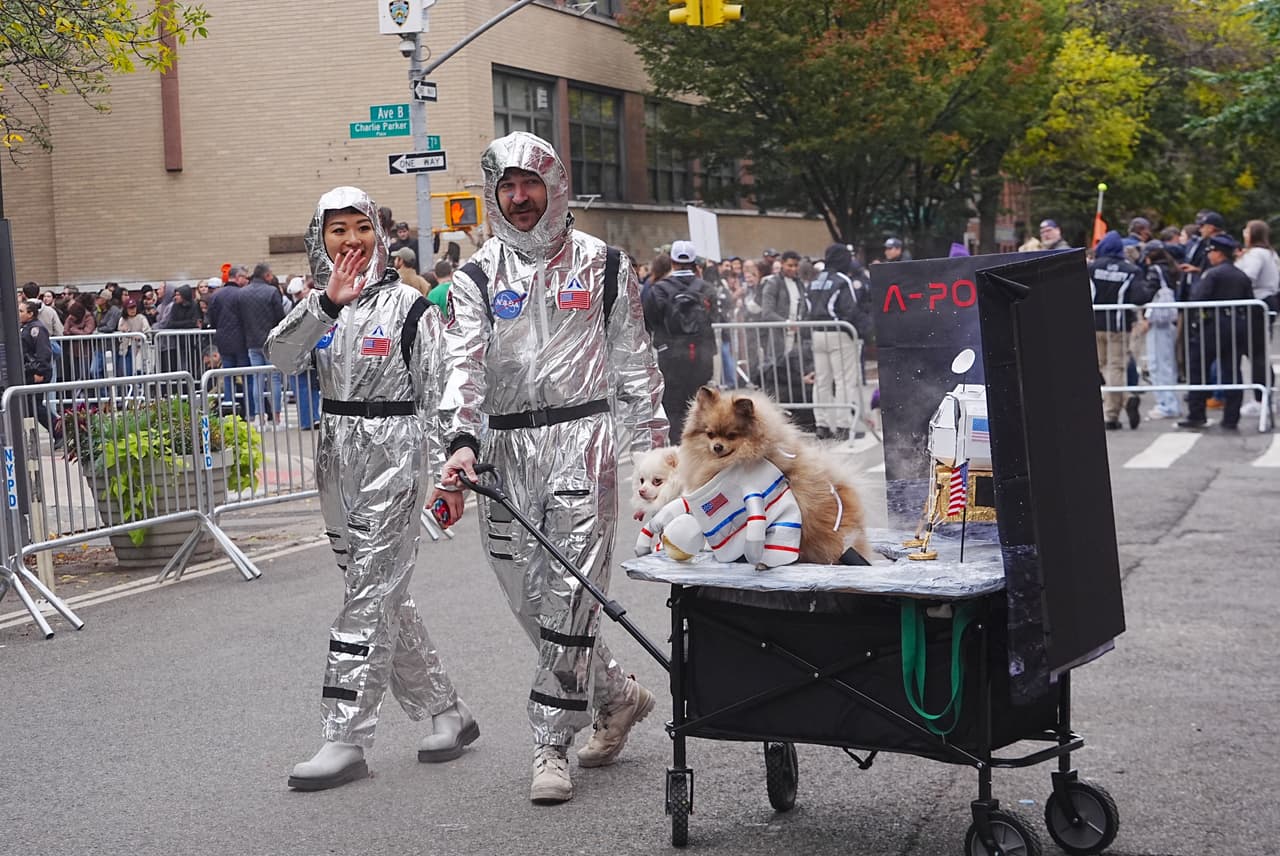 Los perros y gatos mostraron sus mejores atuendos para tratar de ganar el concurso que se realiza cada octubre en vísperas de Halloween.