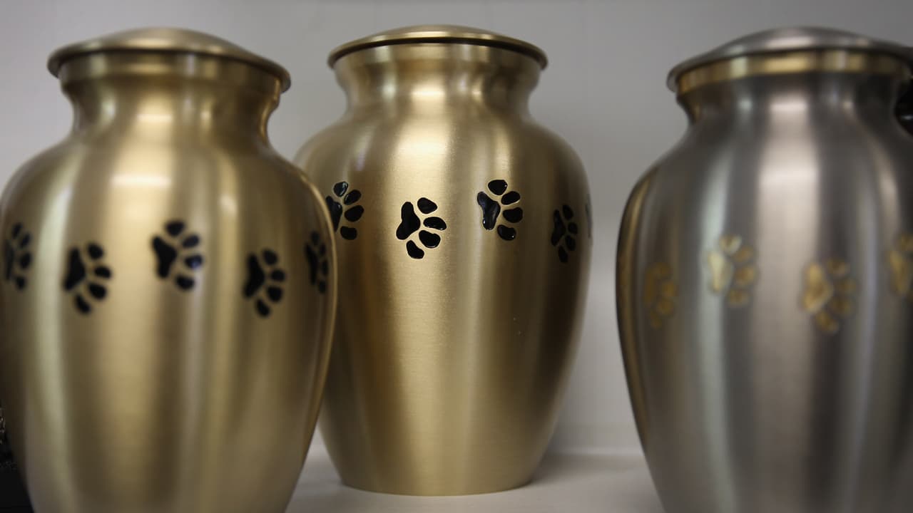 Crematorio de mascotas en Baltimore entregaba falsas cenizas y abandonaba cuerpos