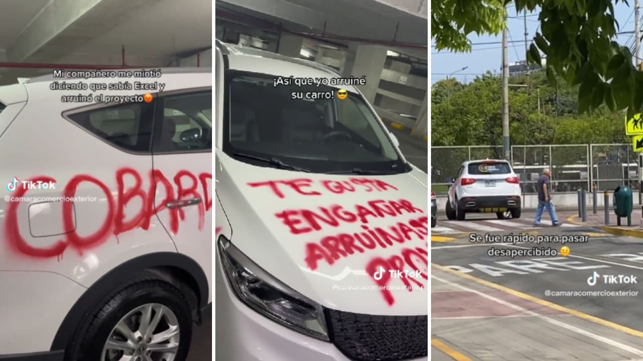 Compañeros de trabajo se vengan de un miembro de su equipo que mintió en su CV.