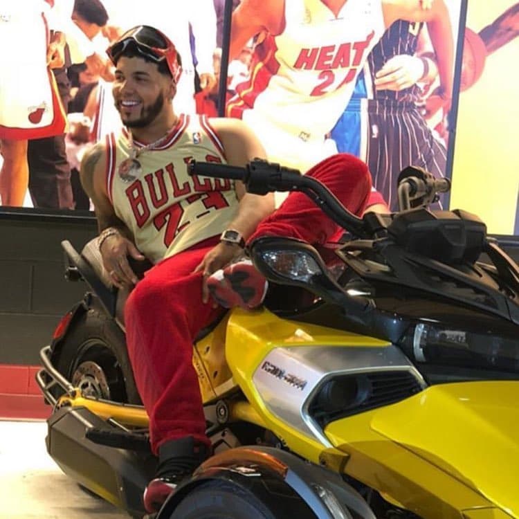 Esta motocicleta es muy peculiar ya que cuenta con tres ruedas: una motriz trasera y dos delanteras para la dirección. 
<br>