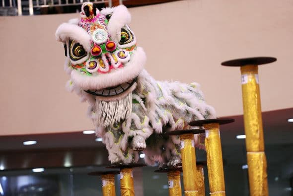 Un grupo de bailarines realizó sus mejores pasos durante la competencia de la Danza del León.