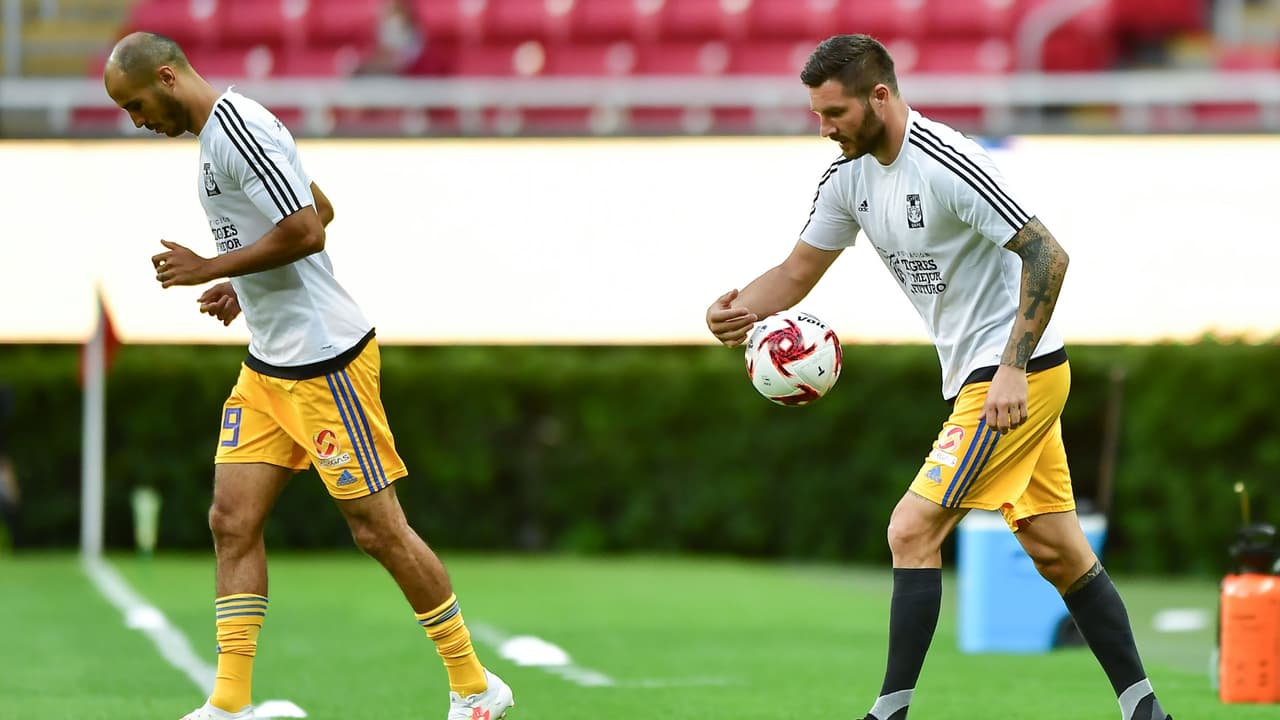 Miguel Herrera recupera piezas fundamentales de Tigres