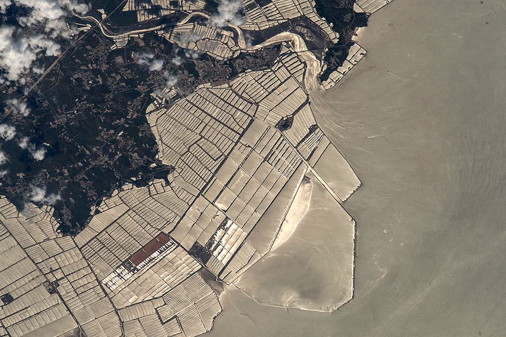 Así se ven desde el espacio las granjas de peces en la costa de la provincia nororiental china de Liaoning. Las cuencas de las granjas de peces se han construido desde la costa boscosa (tonos oscuros hasta una distancia de casi 6 km). Las granjas de peces se han construido en muchos puntos a lo largo de la costa de la provincia, pero este grupo frente al Mar Amarillo es el más grande.