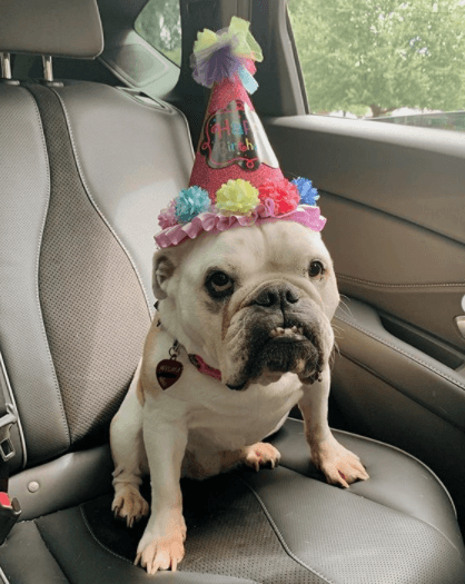 El nombre de su perra es Wilma Jean.