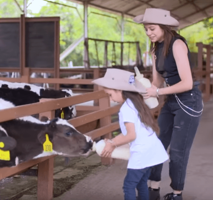 El recorrido inició con las dos alimentando a los becerros.