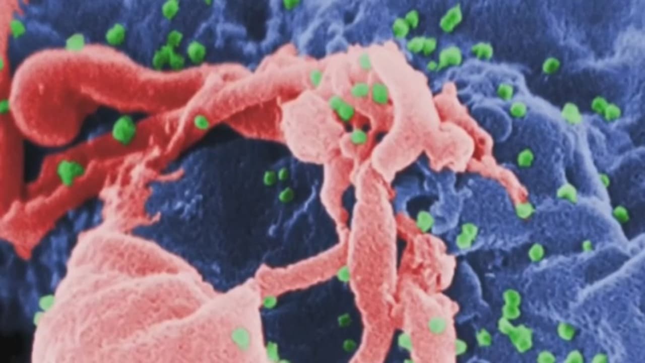 Unión local da a conocer el programa “Rapid Star”, que ayudará al tratamiento de VIH