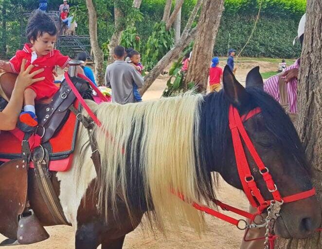 Baby Joshua es muy valiente y ya hasta monta a caballo.