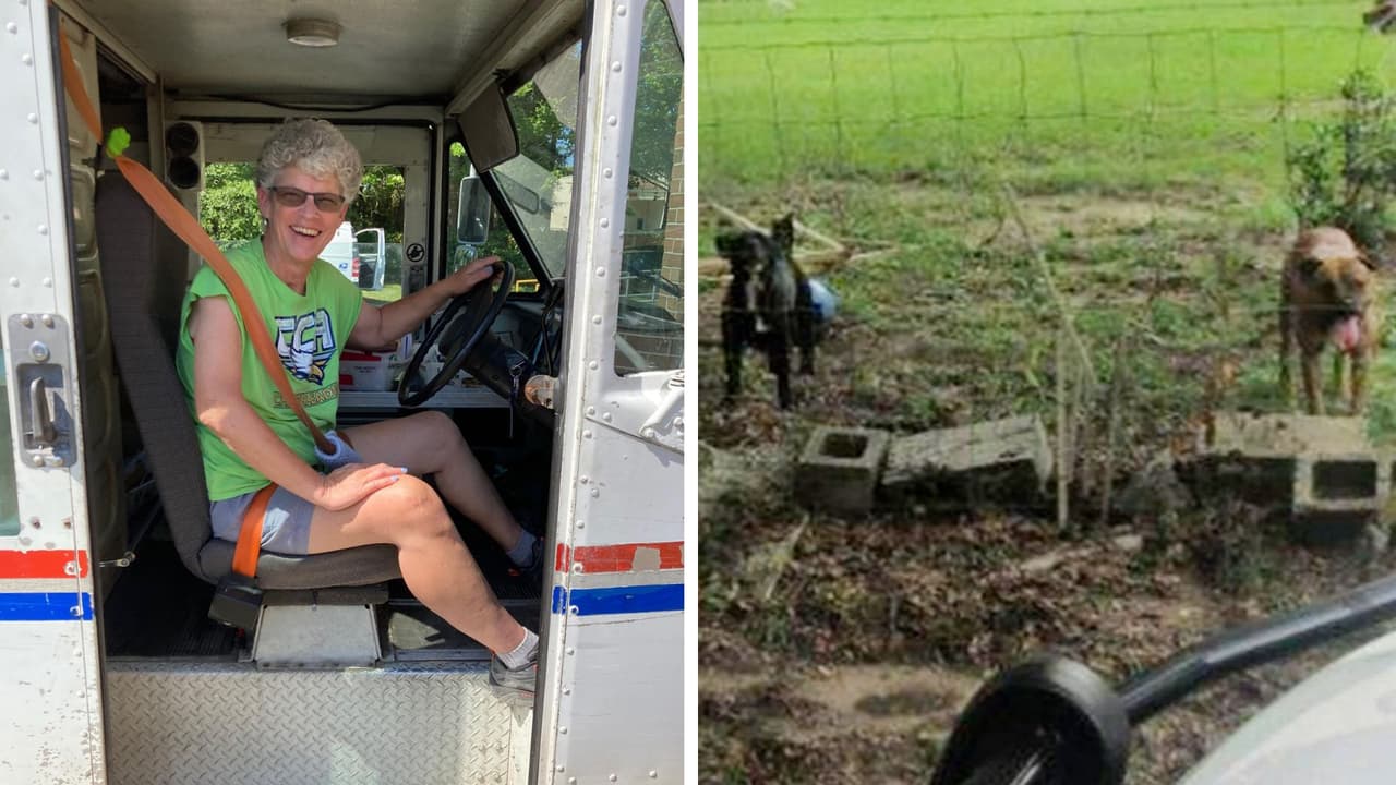 Muere trabajadora del correo postal de 61 años tras ser atacada por cinco perros en Florida