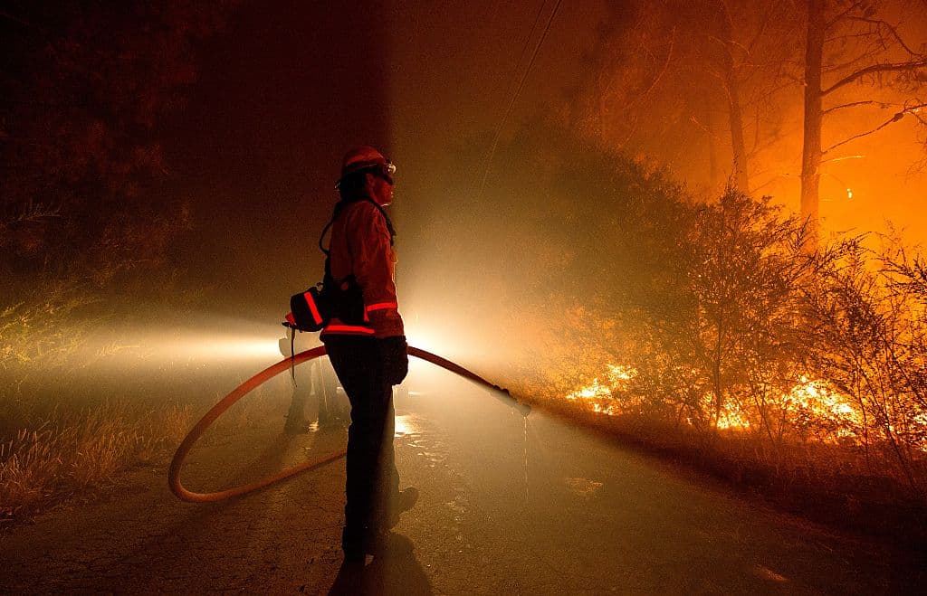 El cambio climático duplicó el impacto de los incendios forestales en el oeste de EEUU