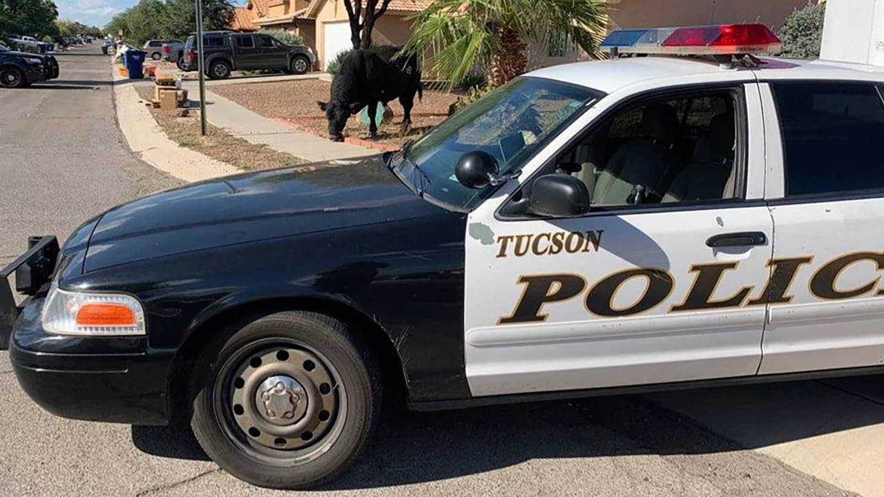 Ataque contra agentes de la DEA en Tucson: Una persona murió y otra resultó herida