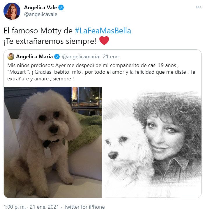 Su hija, Angélica Vale, también lamentó la pérdida del perro y recordó que al igual que ella y su madre, 
<b>Mozart fue parte de la telenovela 'La fea más bella'</b>.
<br>