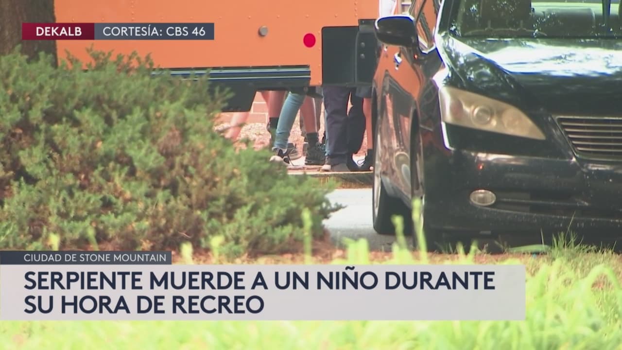 Serpiente muerde a niño en patio de escuela primaria del área de Atlanta