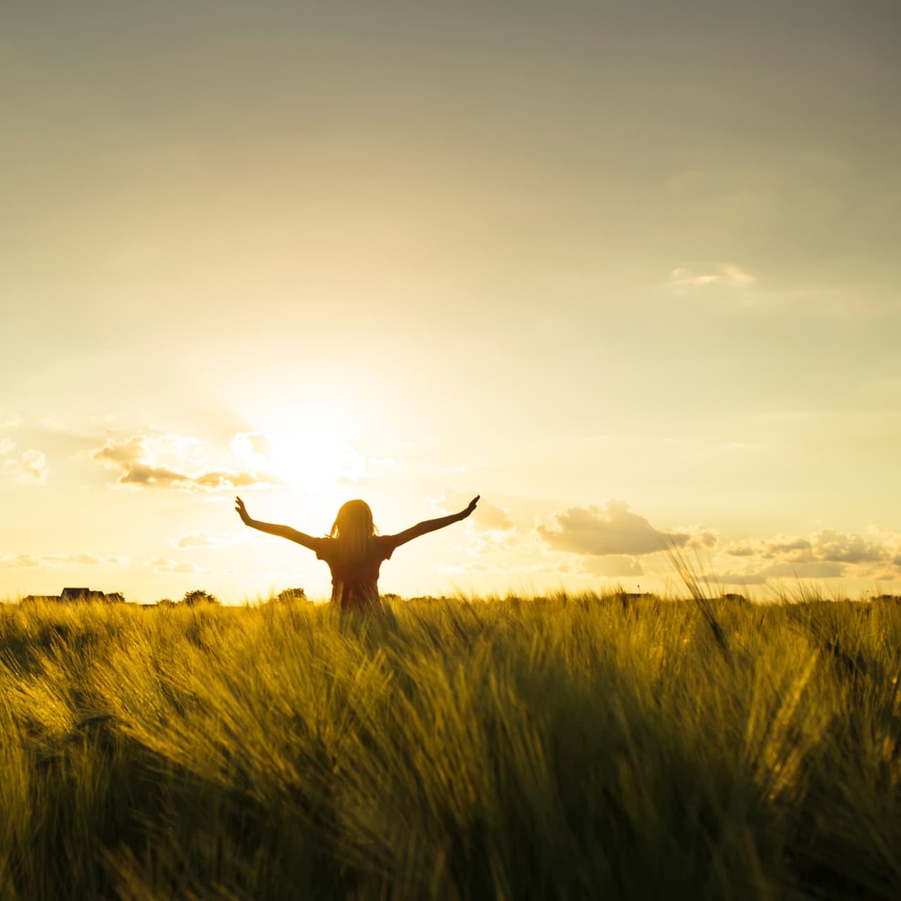 Al terminar un episodio dramático nos enfrentamos a dos opciones: o nos pasamos el resto de la vida buscando venganza y odiando o nos encauzamos en una nueva dirección, una nueva vida en la que se deja atrás el pasado, no se alberga odio, y se busca justicia, pero no venganza.