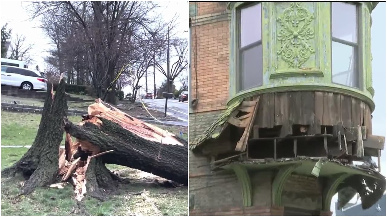 Torrenciales lluvias dejan escombros y apagones en el área triestatal; mujer murió tras caerle un árbol