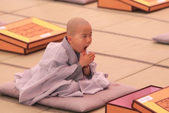 Este pequeño monje bosteza durante su meditación.