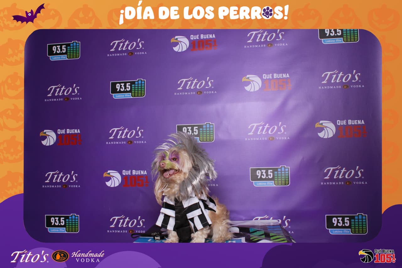 Cual fue tu favorito?