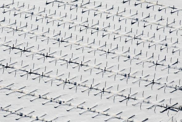 Este invierno frío, intenso y prolongado ha causado el congelamiento de más del 88% de las aguas de los Grandes Lagos en el Medio Oeste acercandóse a la cifra récord de 95% alcanzada en febrero del 1979.¡Recorre las hermosas imágenes!