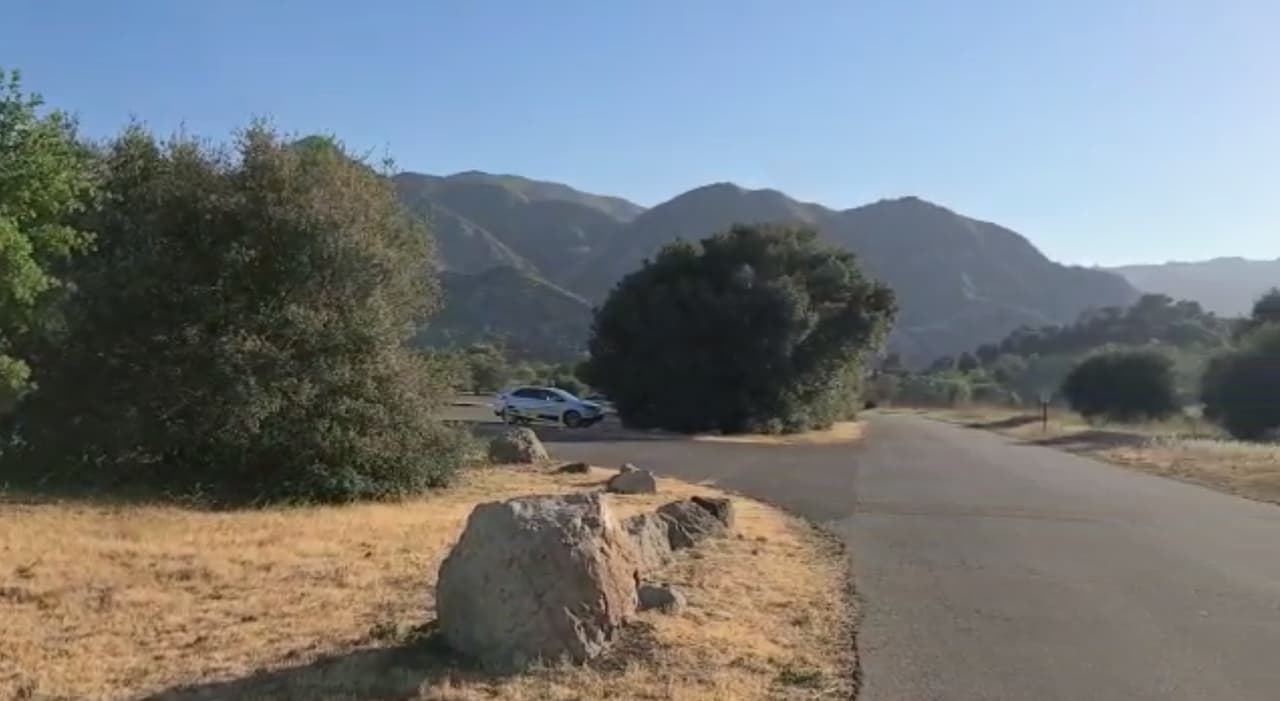 Los CDC le recomiendan que “no levante la serpiente ni intente atraparla. Nunca manipule una serpiente venenosa, ni siquiera una muerta o su cabeza decapitada”.