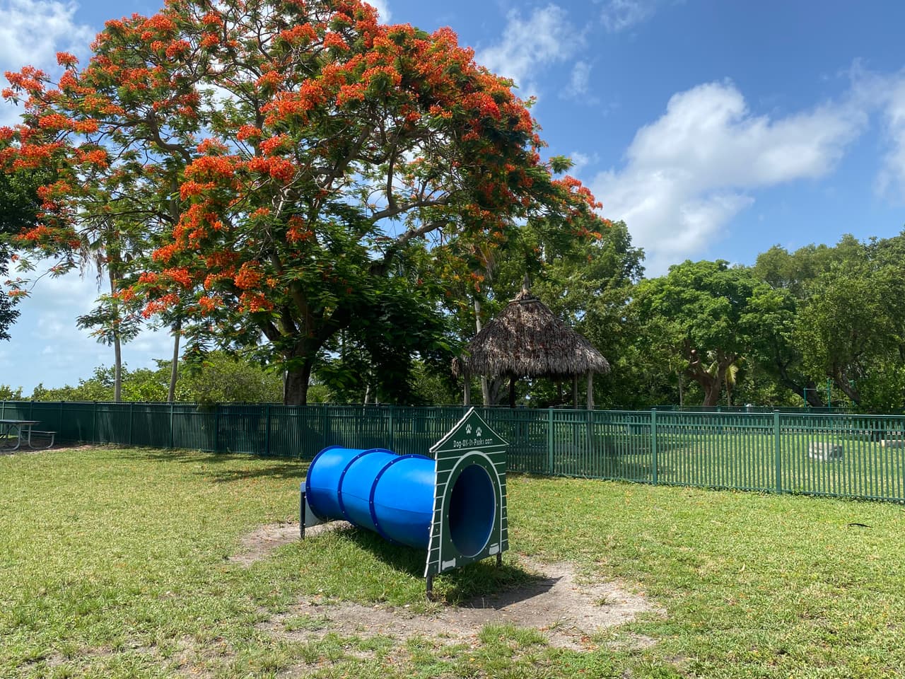 El parque tiene dos espacios destinados para el disfrute de los perros. Pueden correr libres, sin sus collares.