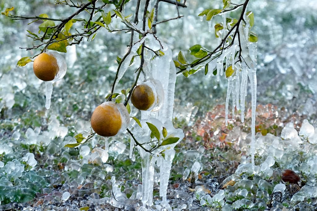 Se esperan más temperaturas gélidas en gran parte de EEUU tras un fin de semana de fuertes nevadas