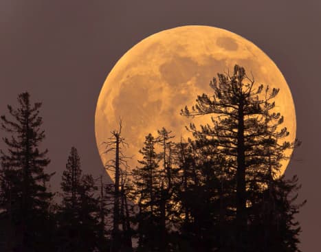 Según este almanaque, la luna llena en septiembre o la última luna llena del verano es la luna del maíz, ya que era el momento de recolectar sus principales cultivos básicos de maíz, calabaza, frijoles y arroz silvestre.