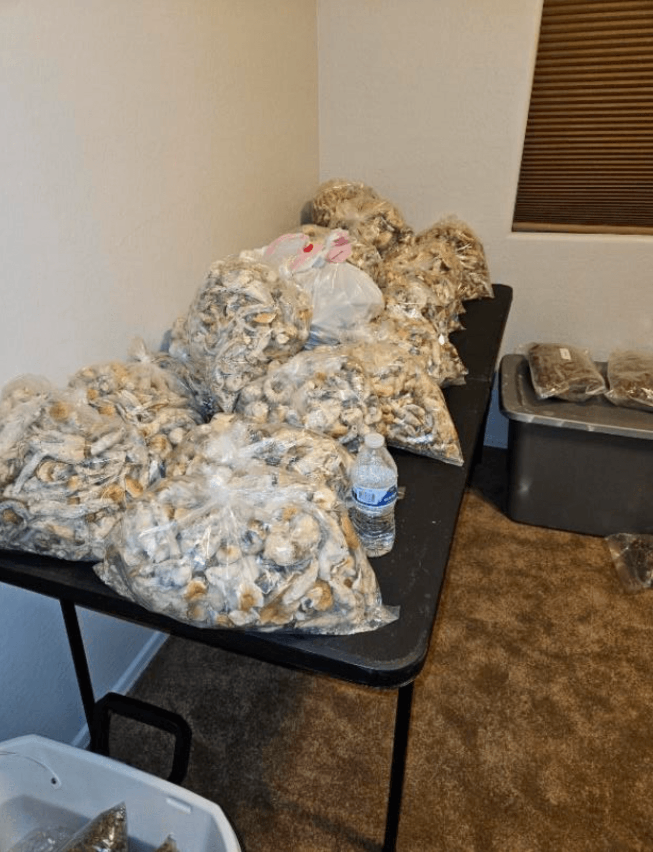 Operativo en Phoenix lleva al decomiso de armas, drogas y dinero en efectivo