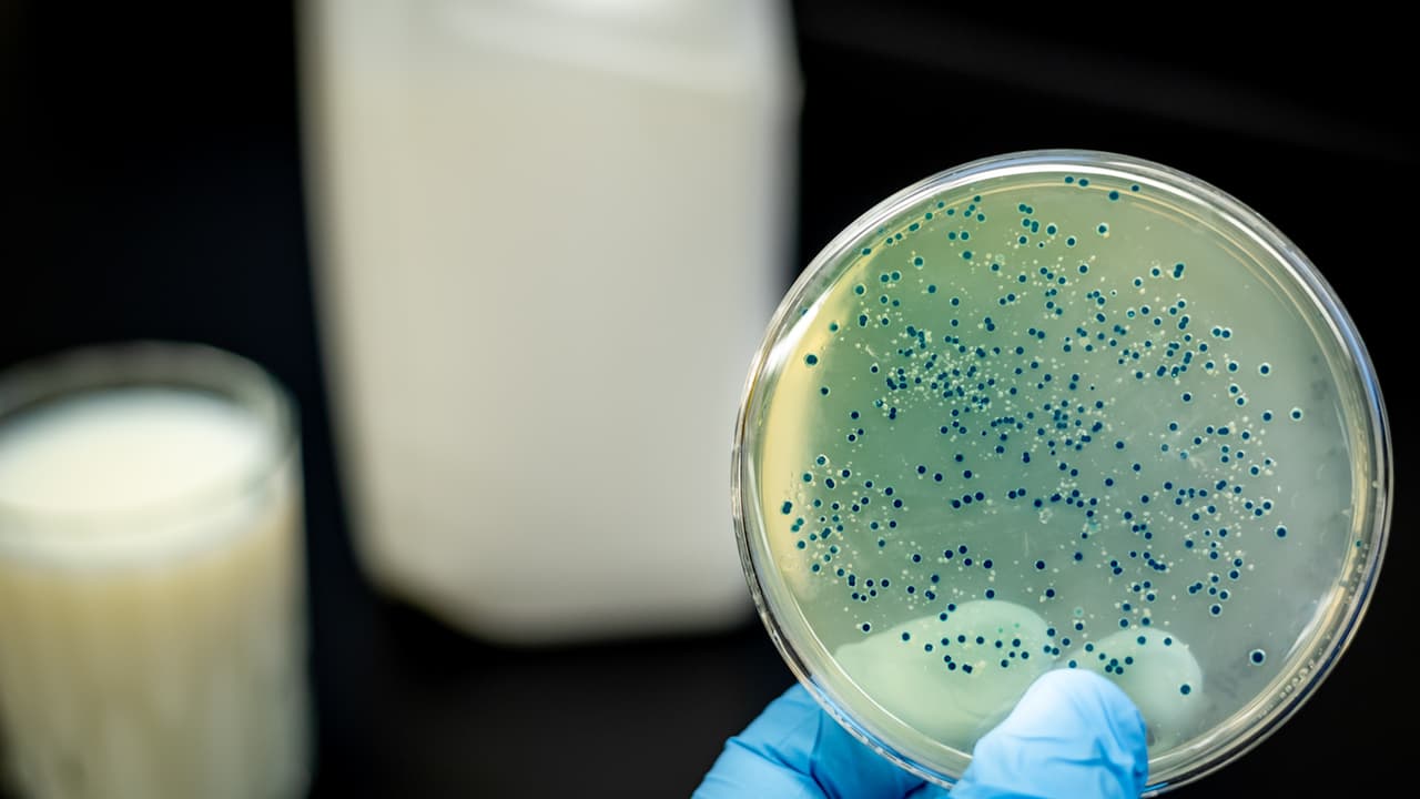 Lyons Magnus retira del mercado 53 productos por posible contaminación de Cronobacter