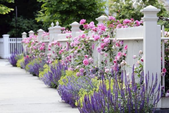Haz que el espacio exterior de tu hogar luzca colorido.