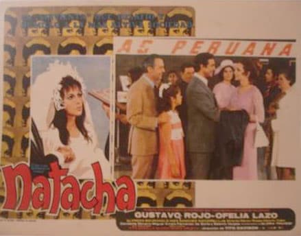 Debutó en las telenovelas mexicana en el año de 1969 en 'No creo en los hombres'. Pero fue en 'Natacha' en 1970 cuando protagonizó por primera vez en la pantalla chica.