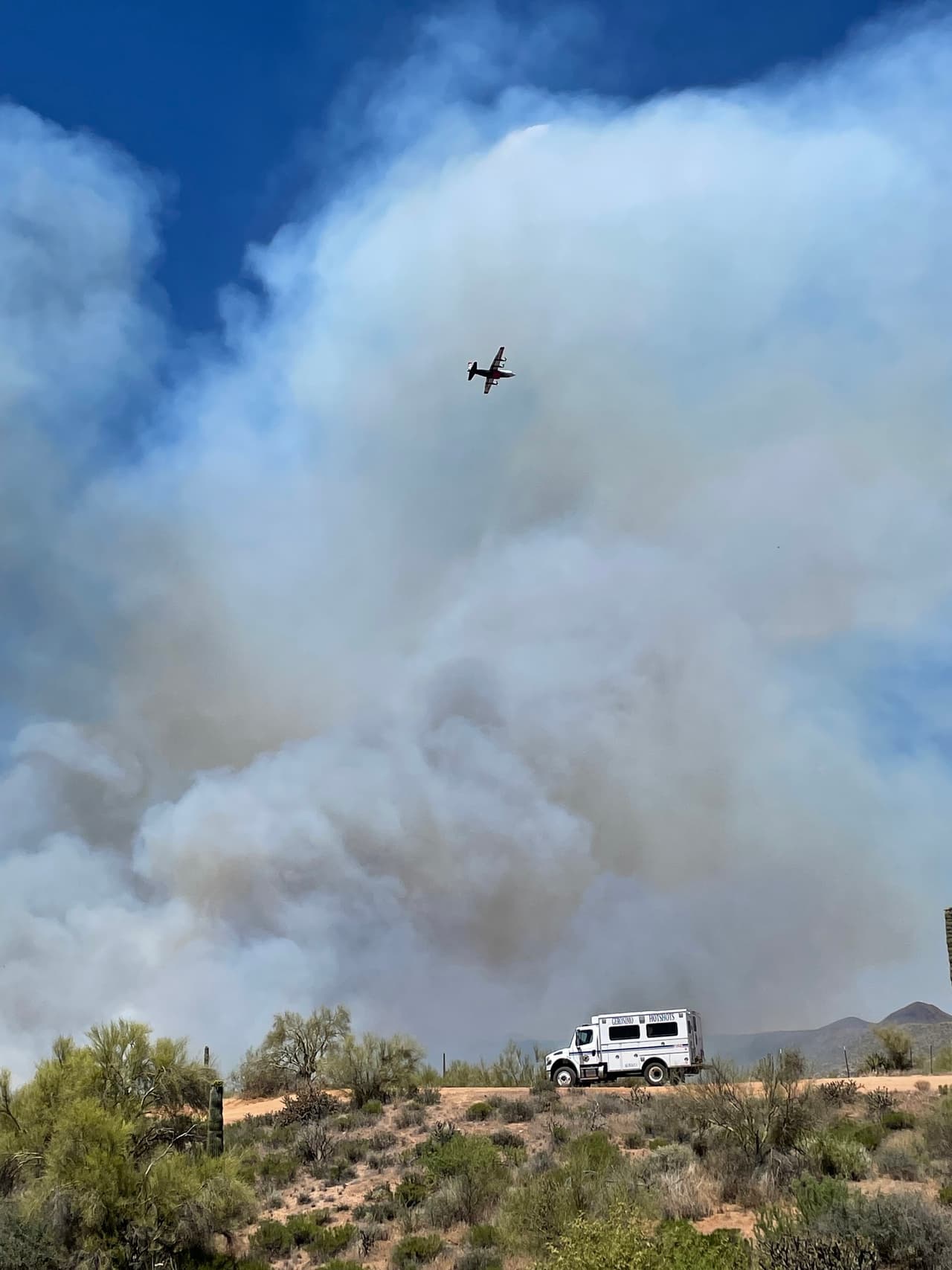 Incendio forestal Wildcat Fire consume más de 14 mil hectáreas en el Bosque Nacional Tonto.