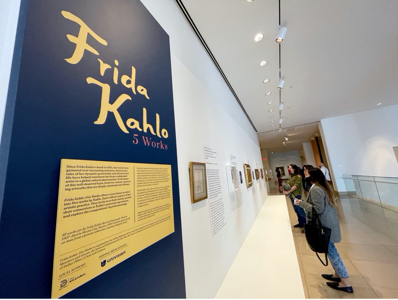 Dentro de las 5 obras de la pintora mexicana se encuentran 4 pinturas y un dibujo presentado de una colección privada.
<br>
<br>