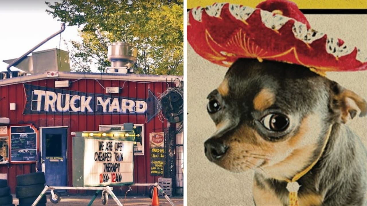 Otra carrera de chihuahuas, piñatas para adultos y buen ambiente promete Cinco De Mayo celebration at Truck Yard, ubicado en 5624 Sears Street. El festejo comienza a las 5:30 p.m. del jueves 5 de mayo en la zona de Lower Greenville.