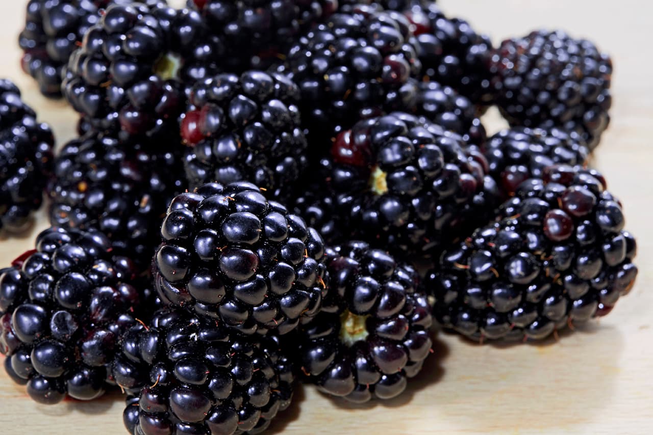 Moras (blackberries) Además, ayudan a retrasar el deterioro de los tejidos orgánicos, y previenen la aparición del cáncer a la vez que retrasa el envejecimiento.