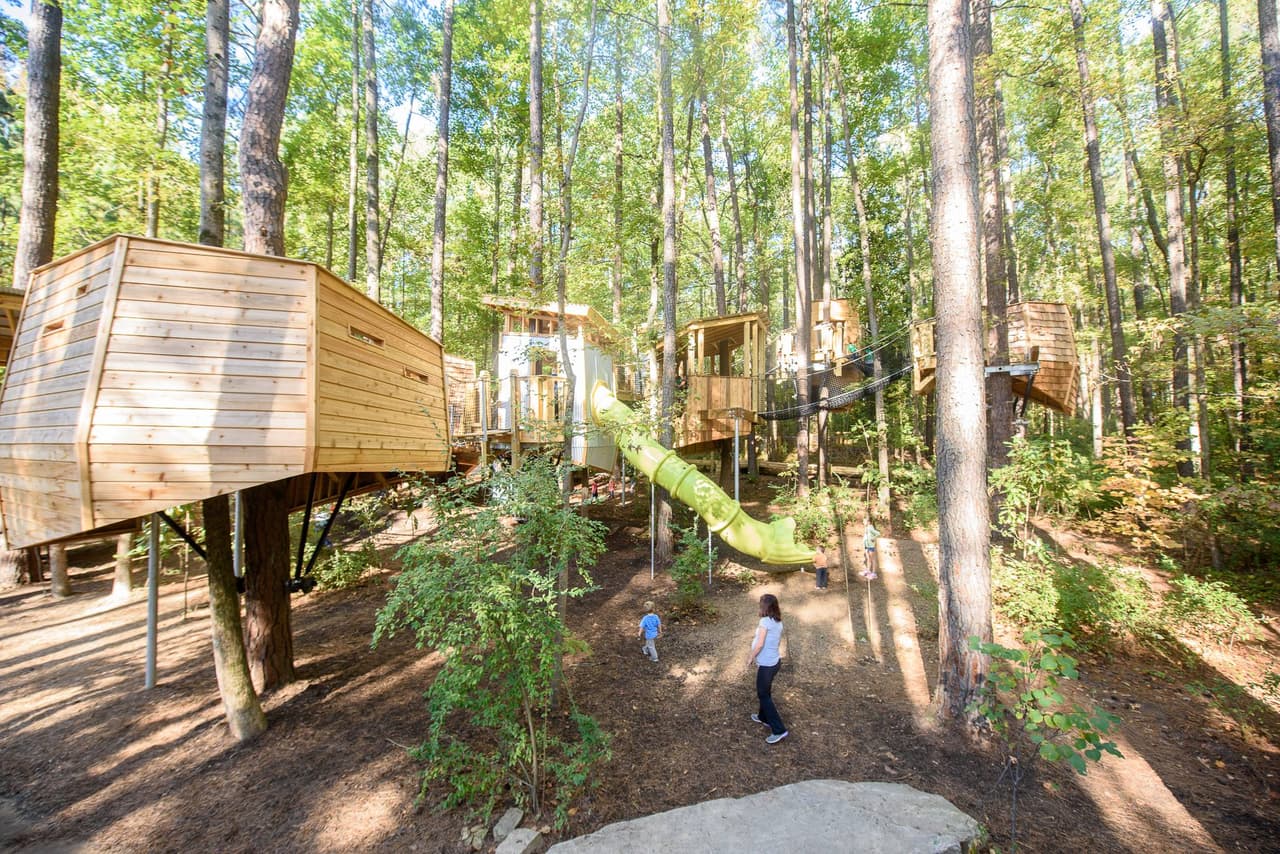 <b>Museum of Life + Science (Durham)</b>
<br>
<b>Sitio web</b>: 
<a href="https://www.lifeandscience.org/">https://www.lifeandscience.org/</a> 
<br>
<b><a href="https://maps.app.goo.gl/n5FutJf6MmFVcoui9">Cómo llegar</a> </b>
<br>
<br>Ubicado en 84 acres, el museo es un parque científico interactivo que incluye un centro científico de dos pisos, uno de los invernaderos de mariposas más grandes de la costa este de Estados Unidos y exhibiciones al aire libre con hermosos paisajes que son refugios seguros para osos negros, lémures y lobos rojos en peligro de extinción que han sido rescatados. Otras atracciones populares incluyen más de 60 especies de animales vivos, Dinosaur Trail, Ellerbe Creek Railway, Into the Mist, Hideaway Woods y Earth Moves.