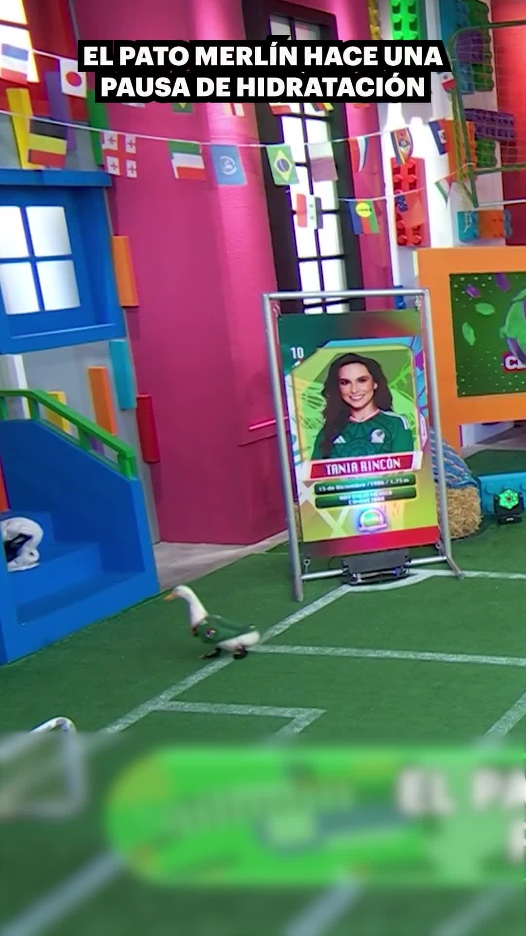 El pato Merlín hace su pausa de hidratación antes del partido