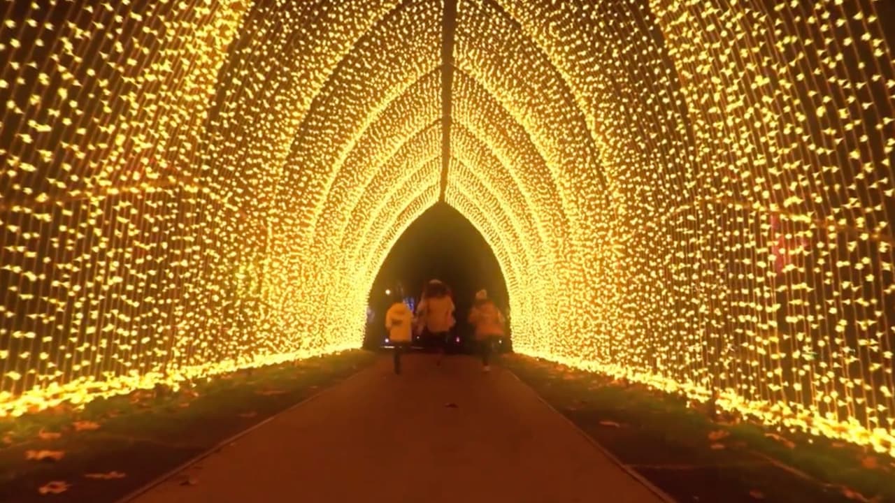 <h3 class="cms-H3-H3">LIGHTSCAPE EN EL JARDÍN BOTÁNICO DE FORT WORTH</h3>
<br>Los 120 acres del Jardín Botánico de Fort Worth se iluminan con miles de luces de navidad. Además puedes recorrer los jardines y las instalaciones artísticas del espacio. 
<br>
<b>¿Cuándo?</b> Del 18 de noviembre al 8 de enero
<br>
<b>¿Dónde?</b> 
<a href="https://www.google.com/maps/place/3220+Botanic+Garden+Blvd,+Fort+Worth,+TX+76107/@32.7404164,-97.366017,17z/data=!3m1!4b1!4m5!3m4!1s0x864e73c514fb84eb:0x6d2bdf472a95014c!8m2!3d32.7404164!4d-97.3638283" target="_blank">3220 Botanic Garden Blvd</a>, Fort Worth, Texas
<br>
<b>Precio de los tickets para Lightscape en el Jardín Botánico de Fort Worth:</b>
<br>$28 para adultos
<br>$18 para niños de 2 a 12 años
<br>Los niños menores de 2 años entran gratis para 
<a href="https://fwbg.ticketapp.org/portal/pages/lightscape" target="_blank">comprar los boletos aquí</a>.