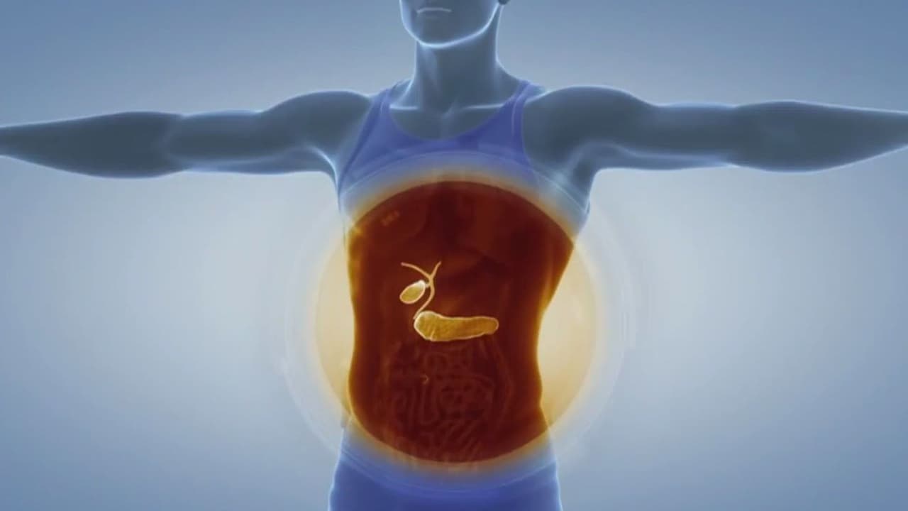 Nueva esperanza médica: doctor español trabaja en tratamiento contra el cáncer de páncreas, ¿qué se sabe de esto?