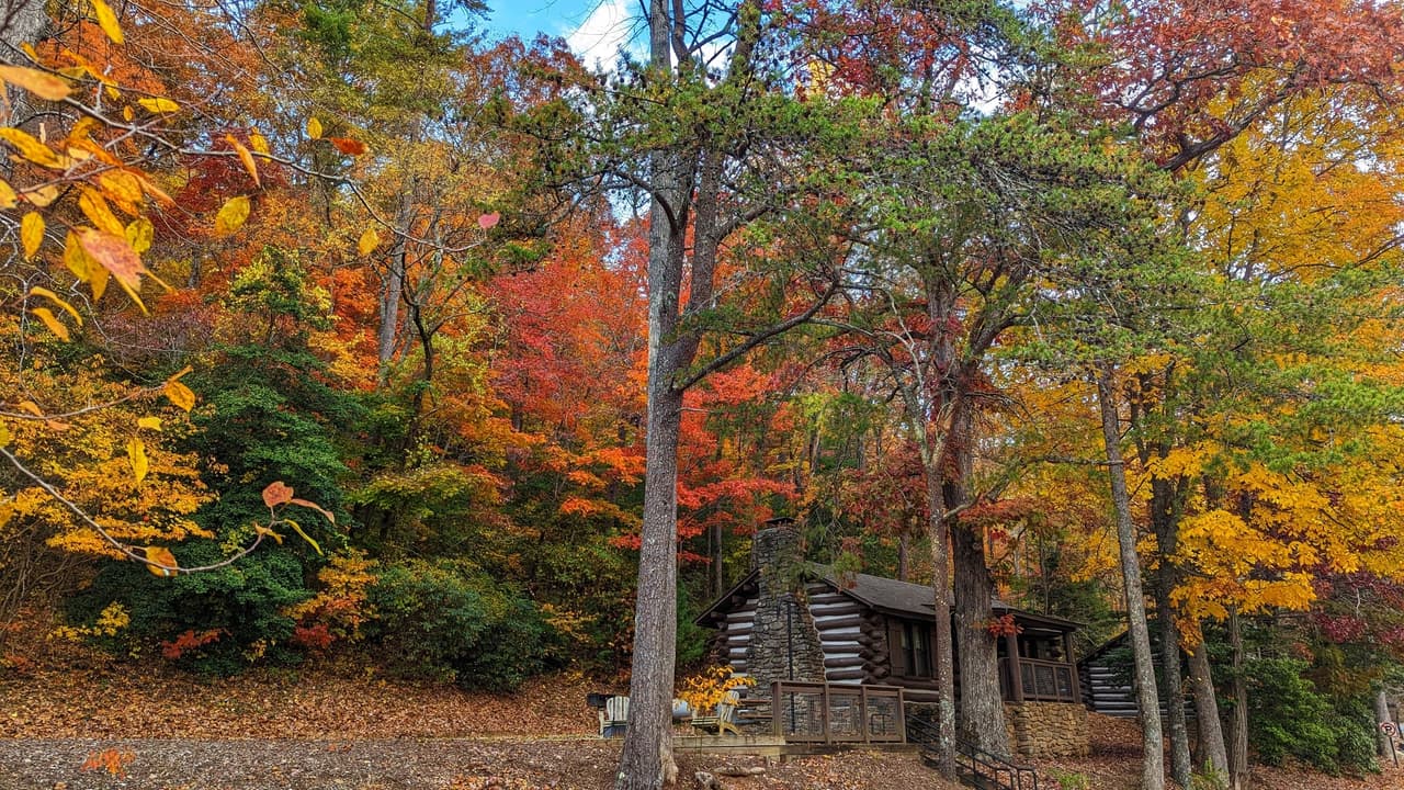 Vogel también cuenta con cabañas, lugares para acampar y los sitios primitivos para mochileros, que brindan una variedad de alojamientos para pasar la noche.