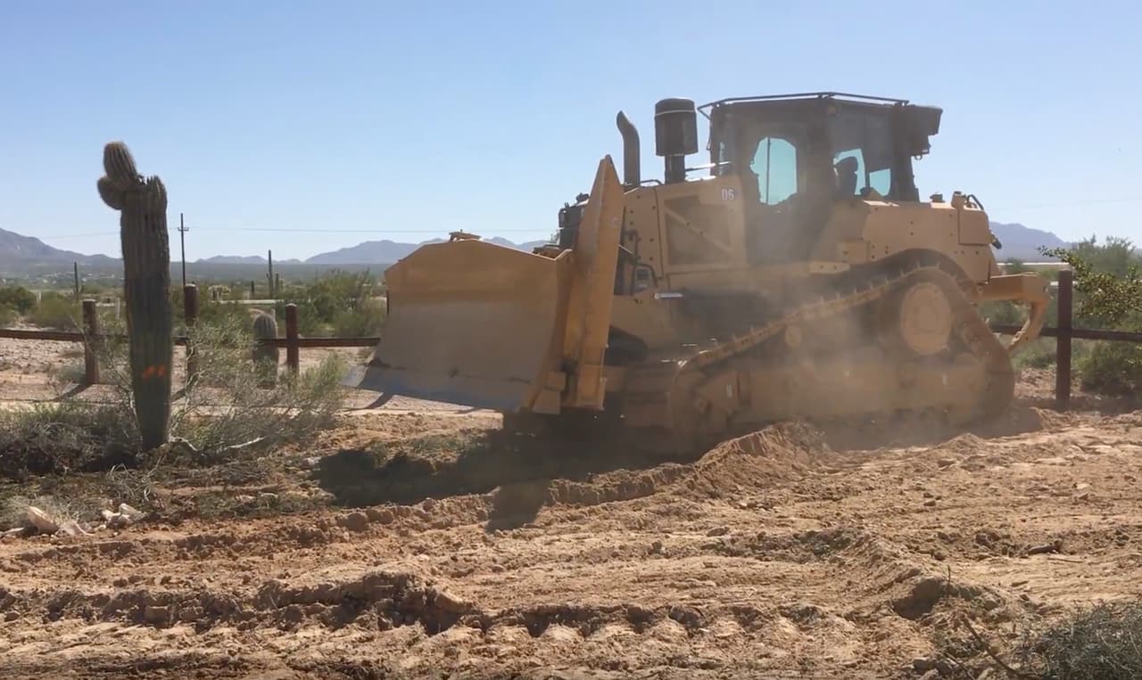 Vida silvestre está siendo removida para la construcción del muro fronterizo en Arizona