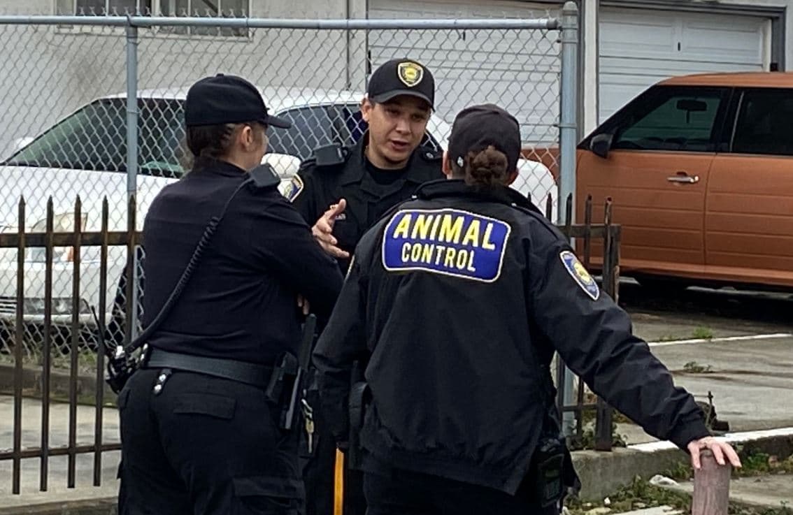 Debido a que la camioneta estaba equipada con GPS, la Policía de Oakland pudo localizar el vehículo casi cinco horas después, con 27 perros todavía adentro. 
<br>
<br>