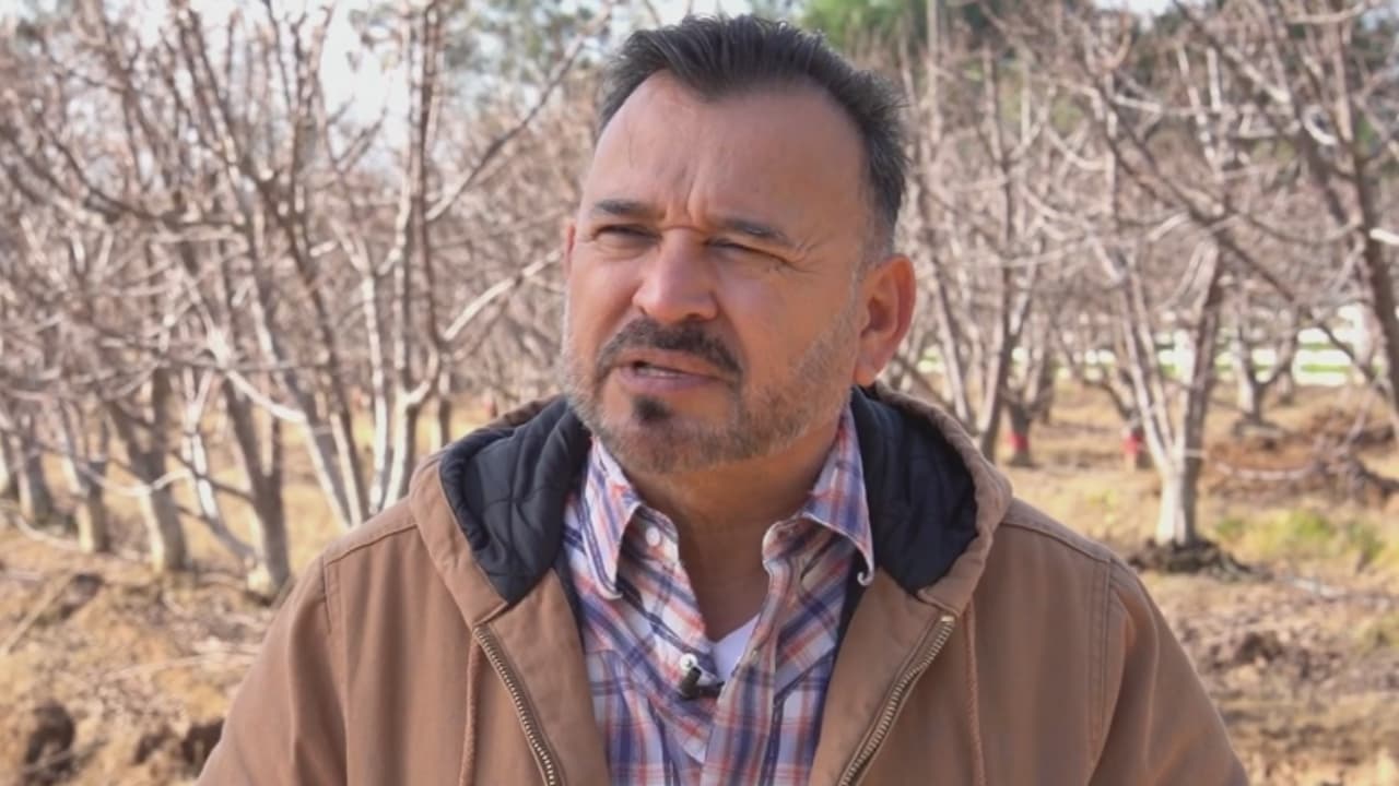 Aranceles golpean a agricultores de California: costos suben y contratos desaparecen