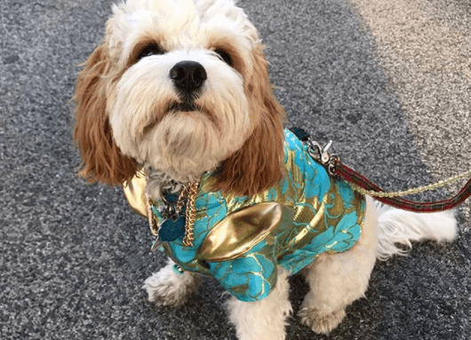 ¿Qué tal nuestros modelos? Ellos felices posando para las cámaras.