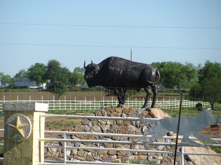 El costo total de la propiedad llamada 'Silver Wolf Ranch' es de$ 4.1 millones, según la base de datos del condado de Guadalupe.